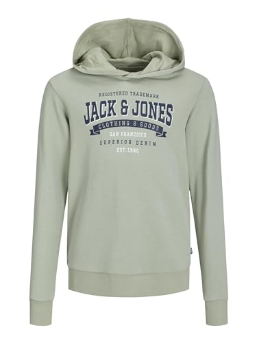 JACK&JONES JUNIOR Jjelogo Sweat Hood 2 Col 24 Snjnr von JACK & JONES