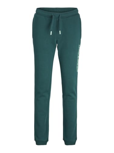 JACK&JONES JUNIOR Jpstgordon Jjalvis Sweat Pants Jnr von JACK&JONES JUNIOR