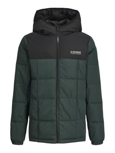 JACK&JONES JUNIOR Jungen JJBEN Square Hood Jacket JNR Steppjacke, Magical Forest/Detail:Blocking, 152 von JACK&JONES JUNIOR