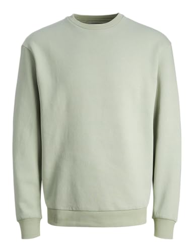 JACK&JONES JUNIOR Jungen JJEBRADLEY Sweat Crew NOOS JNR Sweatshirt, Desert Sage, 116 cm von JACK&JONES JUNIOR