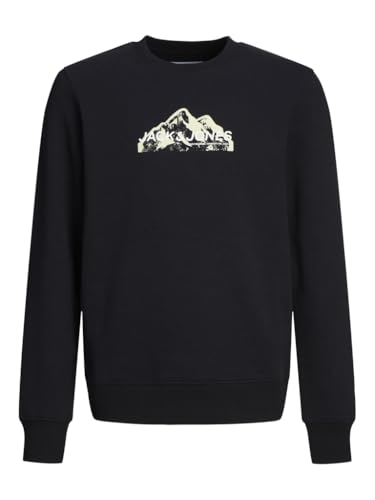 JACK&JONES JUNIOR Jungen Jcomountain Logo Crew Neck Sn Jnr Sweatshirt, Cypress, 152 EU von JACK&JONES JUNIOR