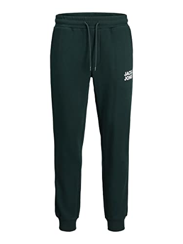JACK&JONES JUNIOR JPSTGORDON JJNEWSOFT SWEAT PANT NOOS JNR von JACK & JONES