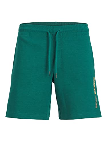 JACK&JONES PLUS Men's JPSTNEO Sweat PLS Shorts, Storm, 42 von JACK&JONES PLUS