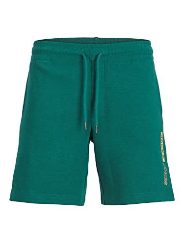 JACK&JONES PLUS Men's JPSTNEO Sweat PLS Shorts, Storm, 44 von JACK&JONES PLUS