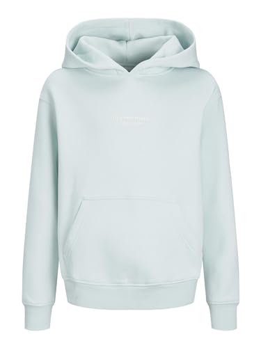 JACK&JONES JORVESTERBRO Sweat Hood NOOS JNR von JACK & JONES