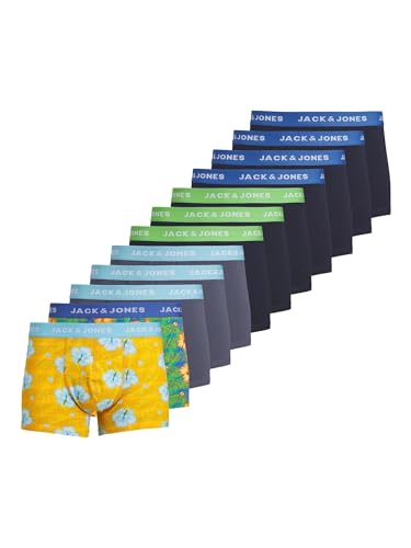 JACK & JONES Herren JACHAWAII Trunks 12 Pack Boxershorts, Navy Blazer/Pack:Palace Blue-Splish Splash-Navy Blazer-Navy Blazer-Navy Blazer-Navy Blazer-Vint, XXL von JACK & JONES