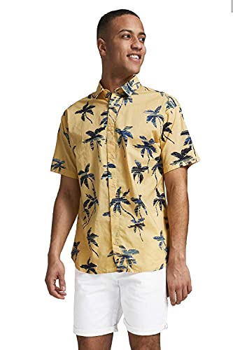 JACK & JONES Male Chino Shorts Regular Fit Chino Shorts von JACK & JONES