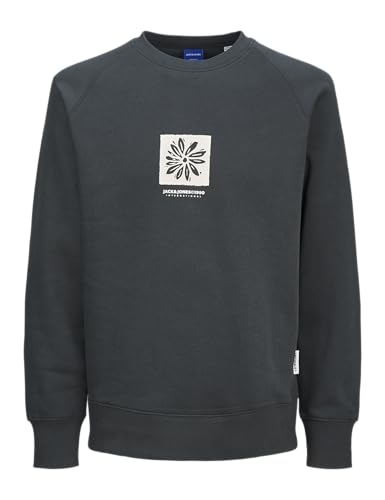 JACK&JONES Herren JORPORTLAND Box Sweat Crew Neck Sweatshirt, Forest River, S von JACK & JONES