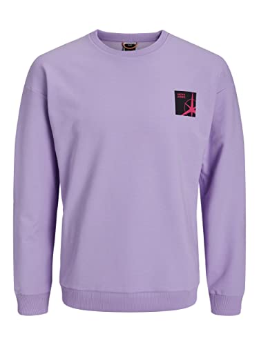 JACK & JONES Herren Jcofilo Summer Sweat Crew Neck Sweatshirt, Lavender, XL von JACK & JONES