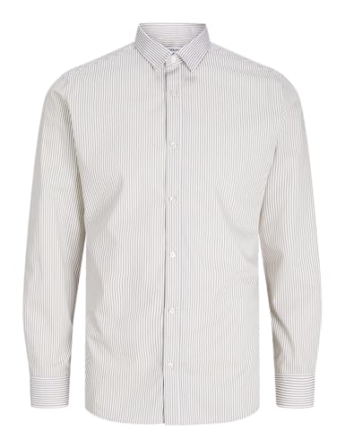 JACK & JONES Herren Jjjoe Print Shirt Ls Aw24 Freizeithemd, Vineyard Wine/Stripes:Stripe AOP, L von JACK & JONES