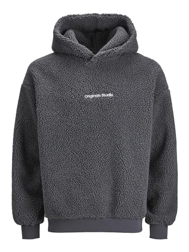 JACK & JONES Herren Jorvesterbro Teddy Sweat Hood Sn Sweatshirt, Graumeliert, L von JACK & JONES