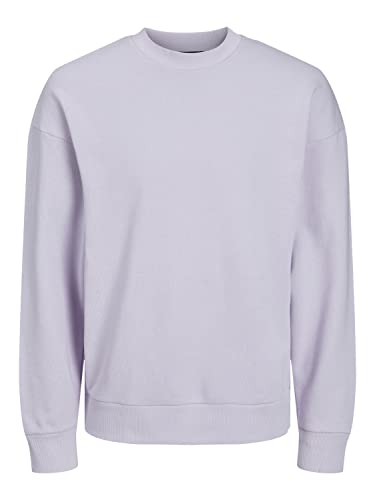 JACK & JONES Herren Jprblakam Clean Sweat Crew Neck Noos Sweatshirt, Evening Haze, L von JACK & JONES