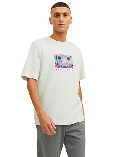 JACK & JONES Herren Rundhals T-Shirt JORTULUM Landscape- Regular Fit S - XXL, Größe:M, Farbe:Pale Blue 12235226 von JACK & JONES