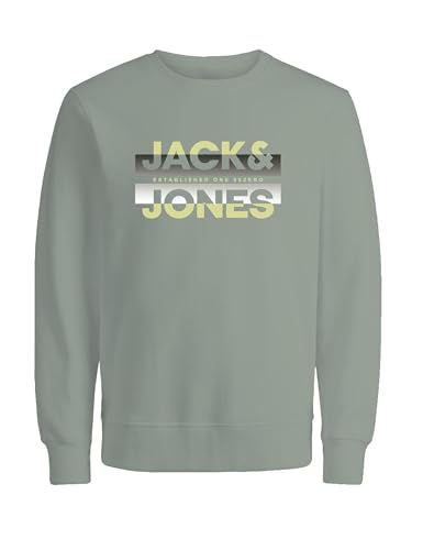 JACK & JONES Herren Sweatpullover Sweatshirt JCORAY Color Sweat Crew Neck FST, Farbe:Salbei, Artikel:-Desert sage, Größe:S von JACK & JONES