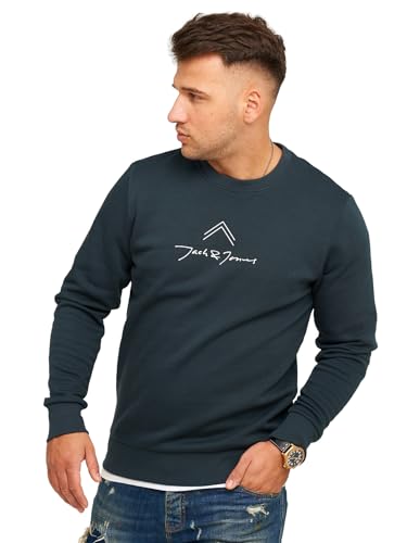 JACK & JONES Infinity Herren Sweatshirt Austin Pullover Sweater (DE/NL/SE/PL, Alphanumerisch, XL, Regular, Regular, Magical Forest) von JACK & JONES