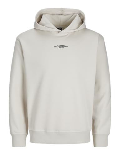 JACK&JONES JCOALPHA Mountain Print Sweat Hood von JACK & JONES