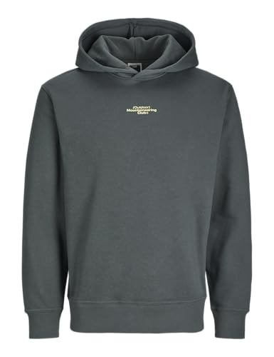 JACK&JONES JCOALPHA Mountain Print Sweat Hood von JACK & JONES