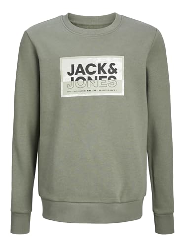 JACK & JONES JCOLOGAN SS24 Print Sweat Crew Neck MNI von JACK & JONES