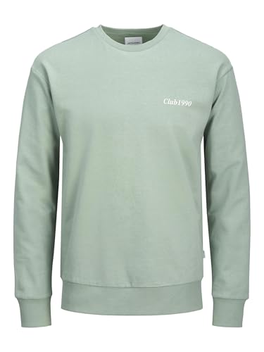 JACK & JONES JJEBRADLEY Graphic Sweat Crew NOOS von JACK & JONES
