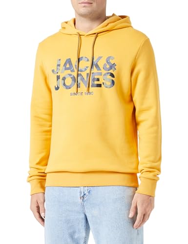 JACK & JONES JJJAMES Sweat Hood von JACK & JONES