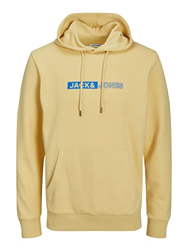JACK & JONES JJNEO Sweat Hood von JACK & JONES