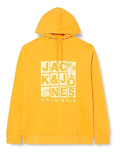 JACK&JONES JORCHANCE Sweat Hood FST von JACK & JONES