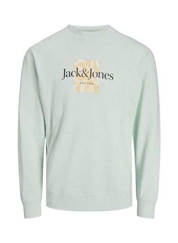JACK & JONES JORLAFAYETTE Branding Sweat Crew JNR von JACK & JONES