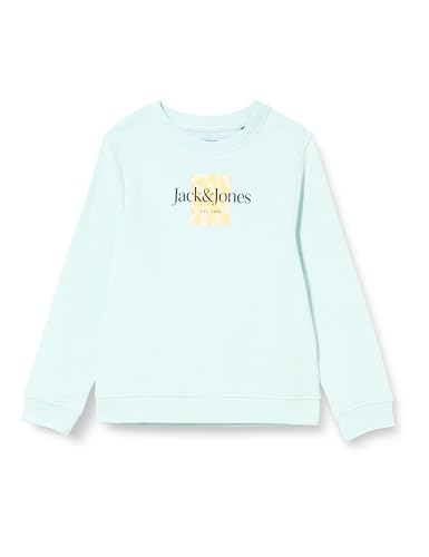 JACK & JONES JORLAFAYETTE Branding Sweat Crew MNI von JACK & JONES