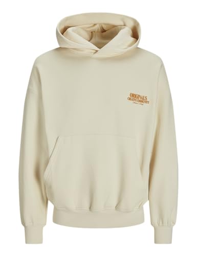 JACK&JONES JORROXBURY Back Sweat Hood von JACK & JONES