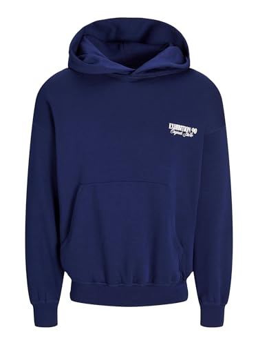 JACK&JONES JORROXBURY Back Sweat Hood von JACK & JONES