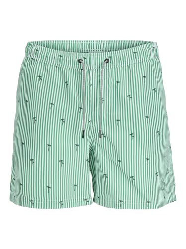 JACK & JONES JPSTFIJI JJSWIM SMALL Stripes LY JNR von JACK & JONES