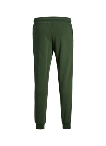 JACK & JONES JPSTGORDON JJNEWSOFT Sweat Pant BEX NOOS von JACK & JONES