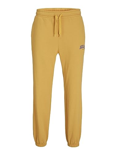 JACK & JONES JPSTKANE JJJOSH Sweat Pants GMS NOOS von JACK & JONES