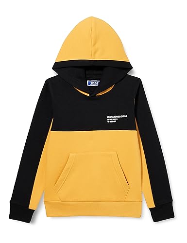 JACK & JONES JUNIOR Jungen JJEFORCE Blocking Sweat Hood SN JNR Kapuzenpullover, Honey Gold, 140 von JACK & JONES