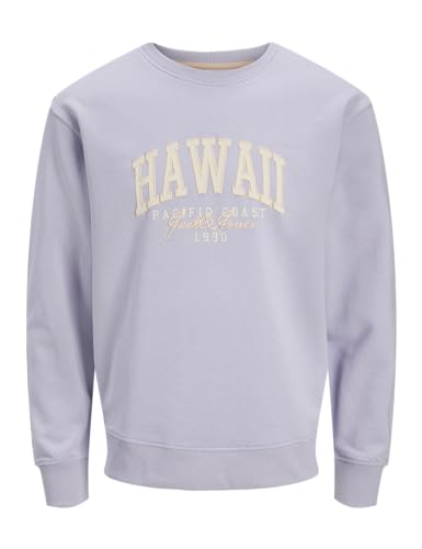 JACK & JONES Jjdetroit Sweat Crew Neck von JACK & JONES