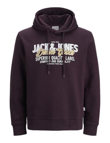 JACK & JONES Jjelogo Sweat Hood 2 Col 25/26 Noos Pls - Plus Size von JACK & JONES