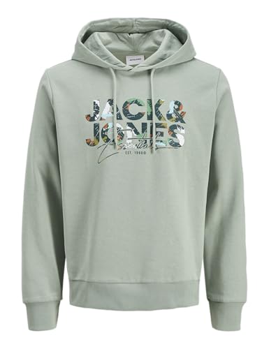 JACK & JONES Jjgeplas Sweat Hood von JACK & JONES