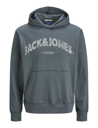 JACK & JONES Joralmeria Sweat Hood Pls von JACK & JONES