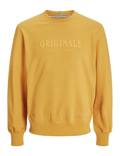 JACK & JONES Jorfrederiksberg Sweat Crew Neck von JACK & JONES