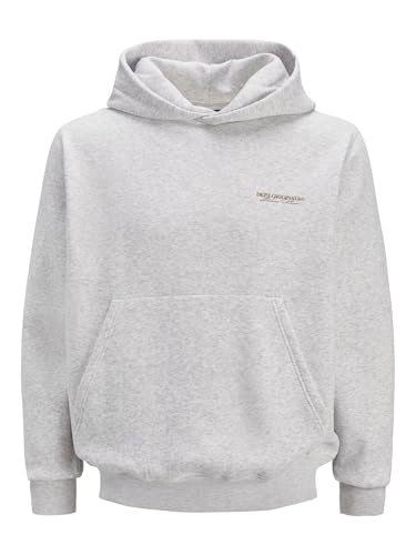 JACK & JONES Jorislington Back Sweat Hood Sn von JACK & JONES