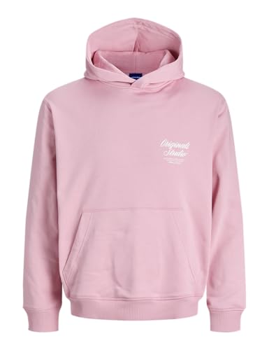 JACK & JONES Jornorrebro Typo Back Sweat Hood Sn von JACK & JONES