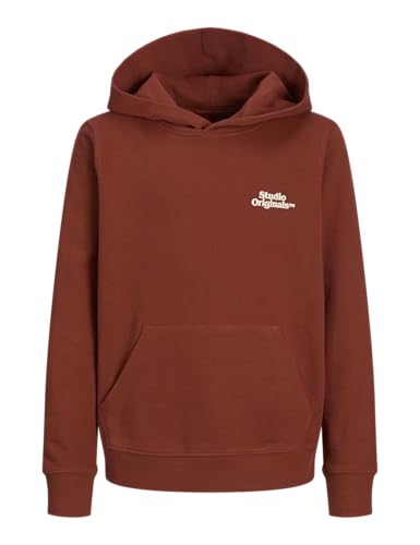 JACK & JONES Jorparos Type Sweat Hood Back Jnr von JACK & JONES