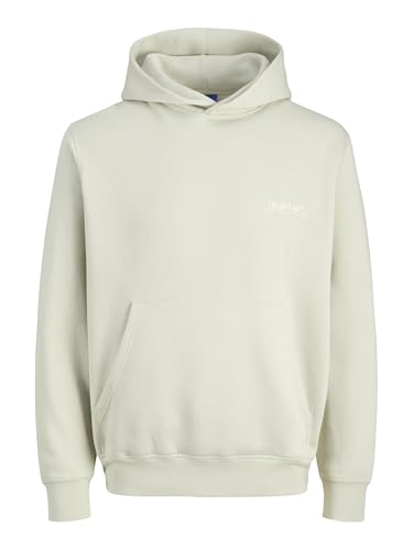 JACK & JONES Jorroxbury Back Sweat Hood Ln von JACK & JONES