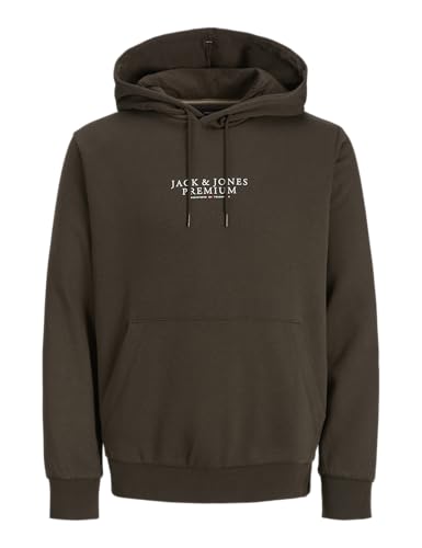 JACK & JONES Jprbluarchie Sweat Hood Noos von JACK & JONES