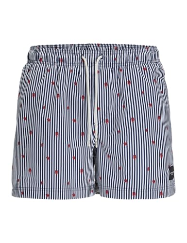 JACK & JONES Jpstmaui Jjswim Mini Stripe AKM Sn von JACK & JONES