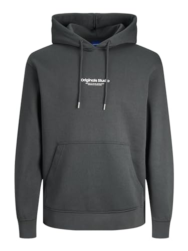 JACK & JONES Male Hoodie Sweat von JACK & JONES