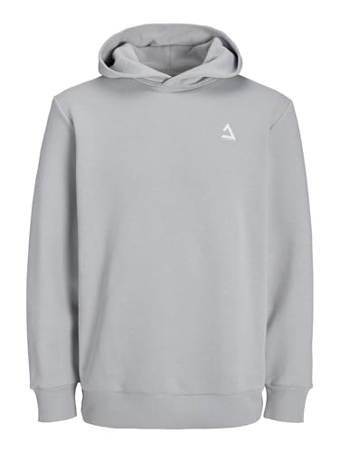 JACK&JONES Herren JCOTRIANGLE Sweat Hood SN Hoodie, High-Rise, XS von JACK & JONES