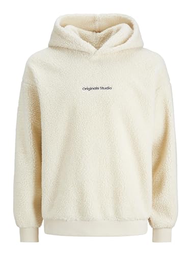 JACK & JONES Male Kapuzenpullover Einfarbig Kapuzenpullover von JACK & JONES