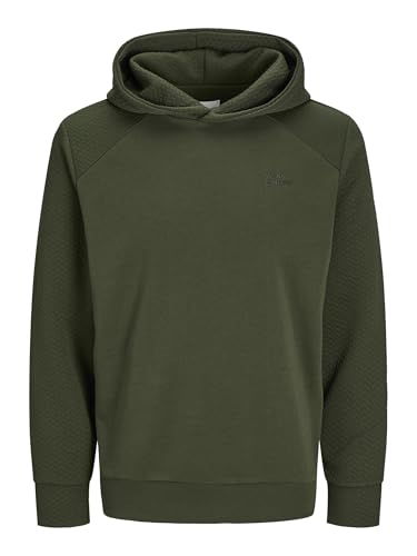 JACK & JONES Male Kapuzenpullover Logo Kapuzenpullover von JACK & JONES
