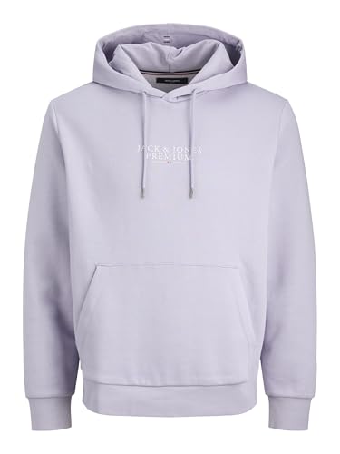 JACK & JONES Male Kapuzenpullover Logo Kapuzenpullover von JACK & JONES